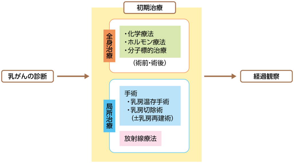 診療の流れ:初期治療と経過観察