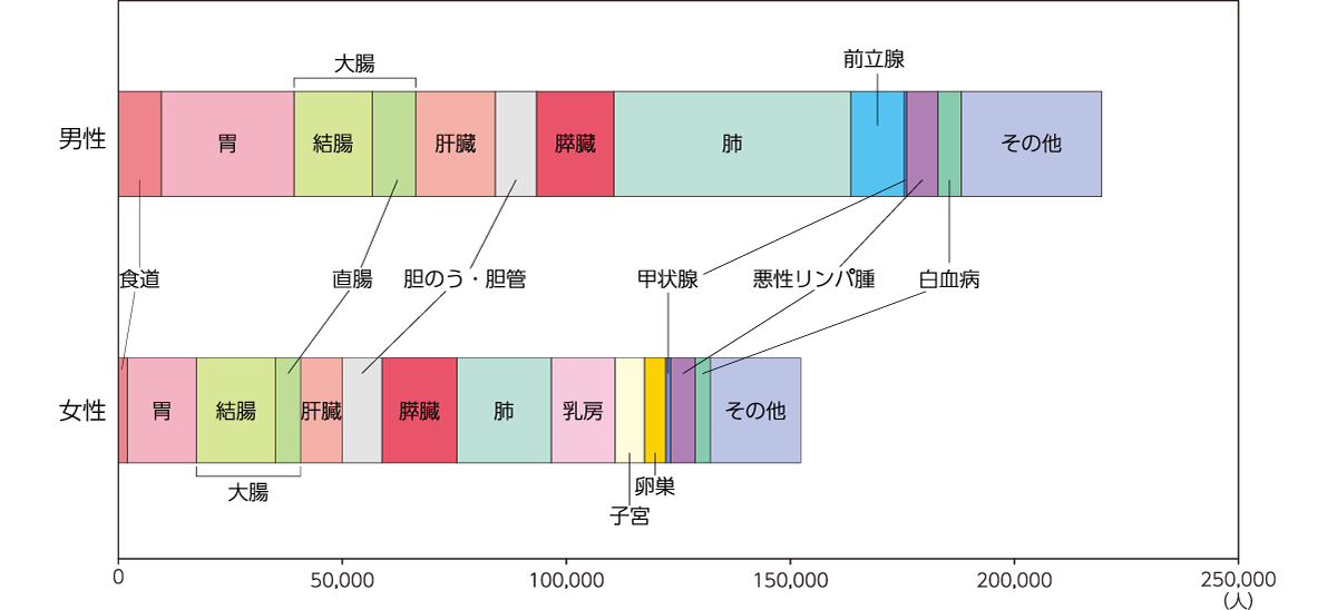 部位別がん死亡数（2019年）