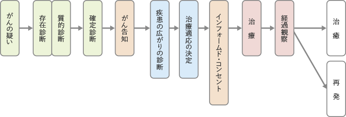 「がんの疑い」 ↓ 「存在診断」「質的診断」 ↓ 「確定診断」 ↓ 「がん告知」 ↓ 「疾患の広がりの診断」 ↓ 「治療適応の決定」 ↓ 「インフォームド・コンセント」 ↓ 「治療」 ↓ 「経過観察」 ↓ 「治癒」「再発」