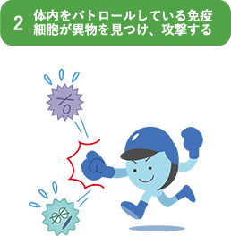 体内をパトロールしている免疫細胞が異物を見つけ、攻撃する