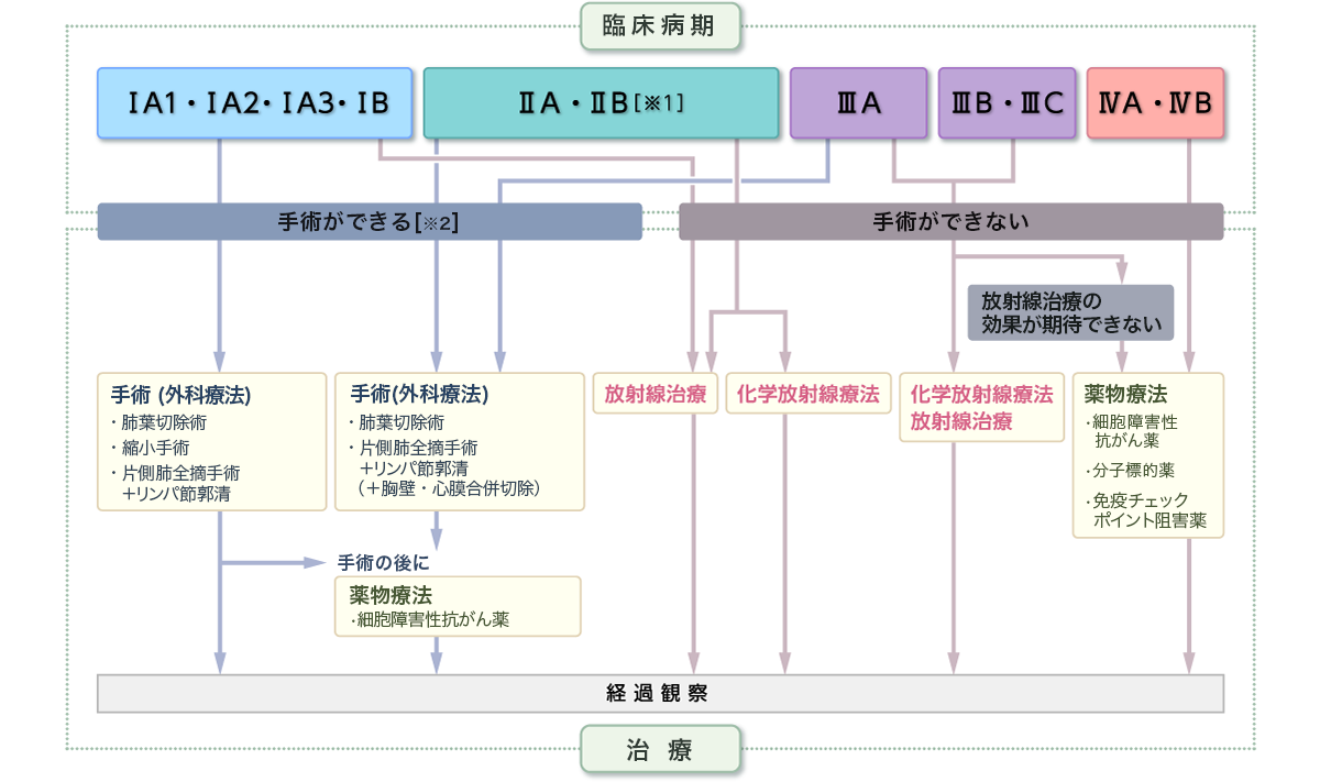 非小細胞肺がんに対する一般的な治療としては、局所に限局したⅠ～Ⅱ期には外科療法（手術）、局所で進展したⅢ期には主に放射線療法と薬物療法の同時併用、遠隔転移のあるⅣ期には薬物療法を中心に行われます。