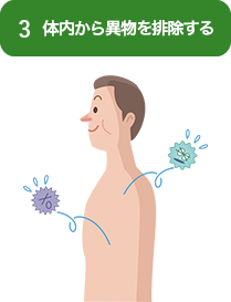 3.体内から異物を排除する