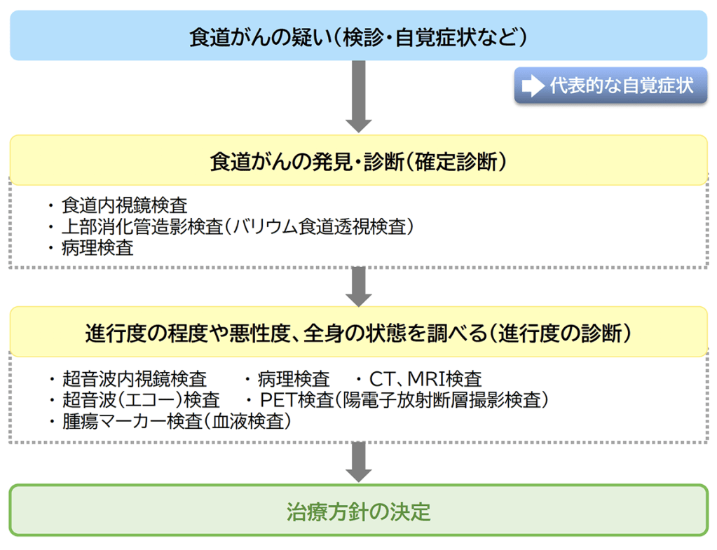 図：食道がんの診断と治療方針決定の流れ