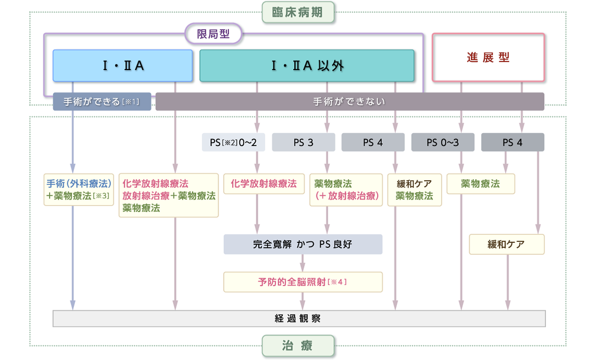 限局型：I・IIA→手術できる※1　I・IIA以外→手術ができない（化学放射線療法・放射線治療＋薬物療法・薬物療法・緩和ケア） 進展型：薬物療法・緩和ケア