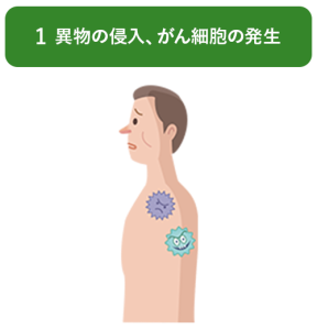 異物の侵入、がん細胞の発生