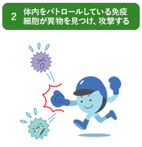 体内をパトロールしている免疫細胞が異物を見つけ、攻撃する