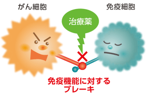 免疫チェックポイント阻害薬