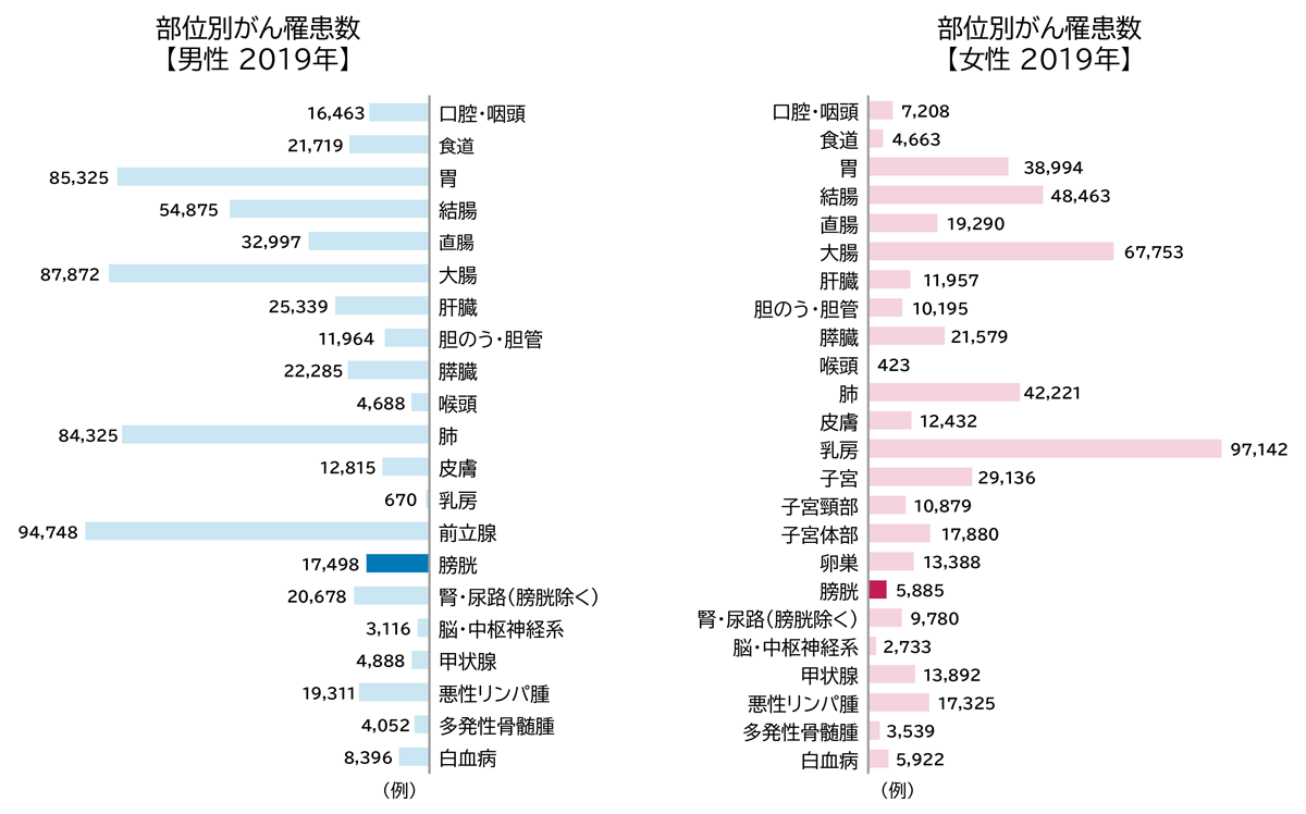 主要ながんの罹患数