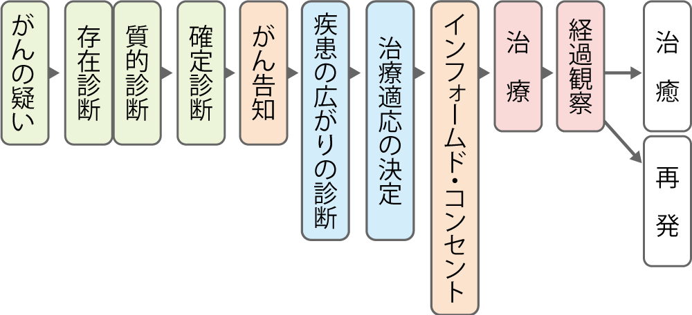 「がんの疑い」 ↓ 「存在診断」「質的診断」 ↓ 「確定診断」 ↓ 「がん告知」 ↓ 「疾患の広がりの診断」 ↓ 「治療適応の決定」 ↓ 「インフォームド・コンセント」 ↓ 「治療」 ↓ 「経過観察」 ↓ 「治癒」「再発」