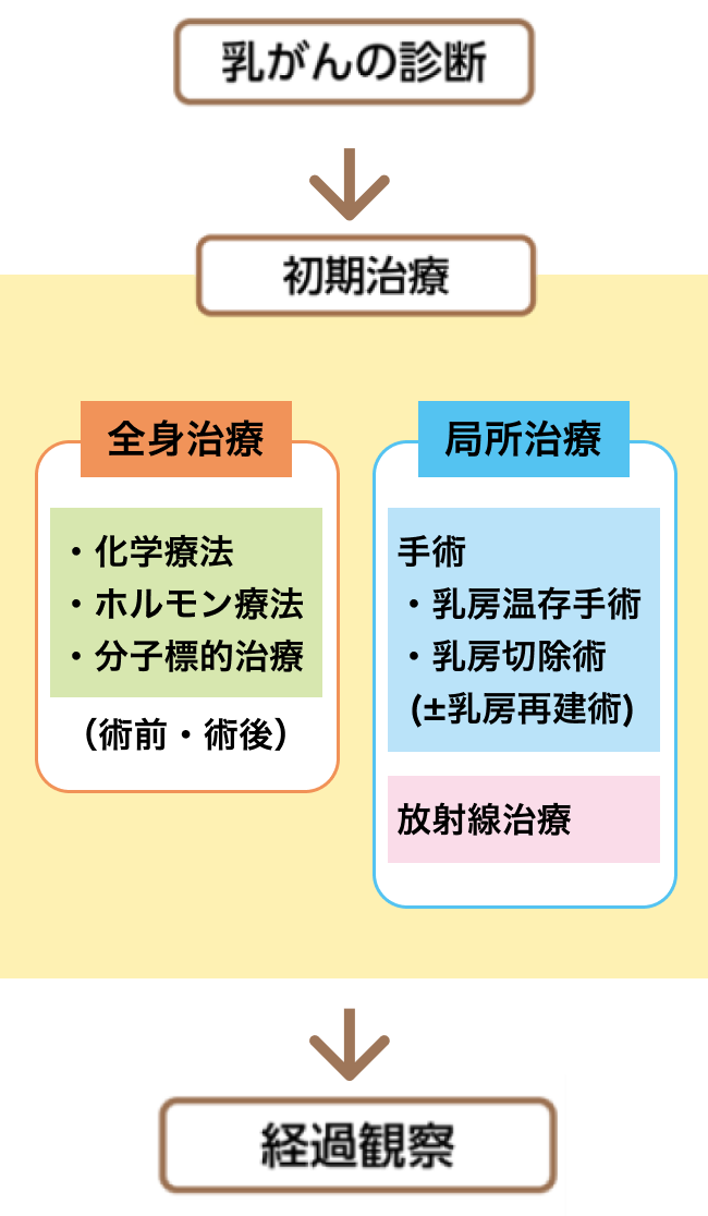 診療の流れをまとめたイラスト