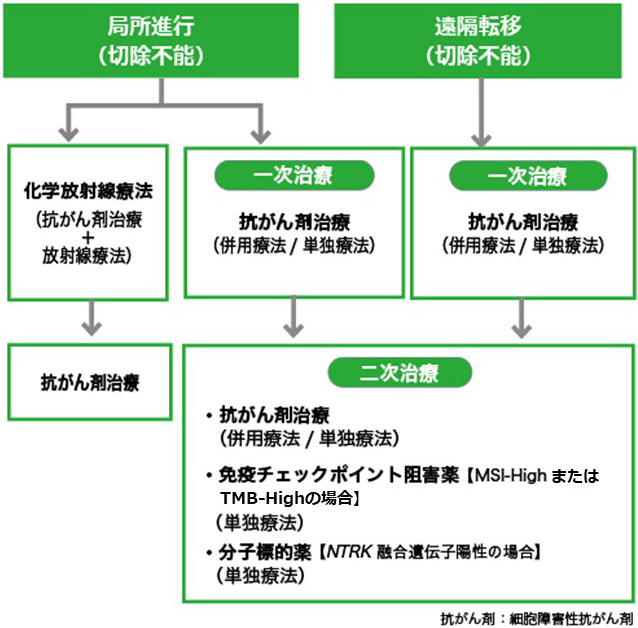 薬物療法：薬物療法の流れ