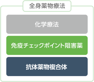 全身薬物療法