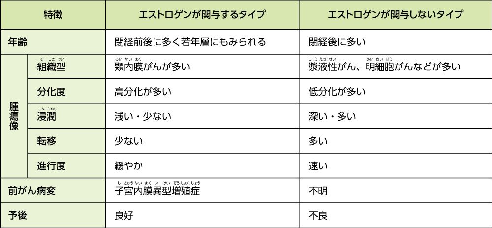 子宮体がんのタイプ別特徴