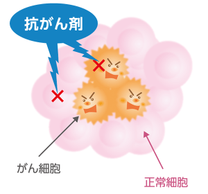 抗がん剤の作用のイメージ