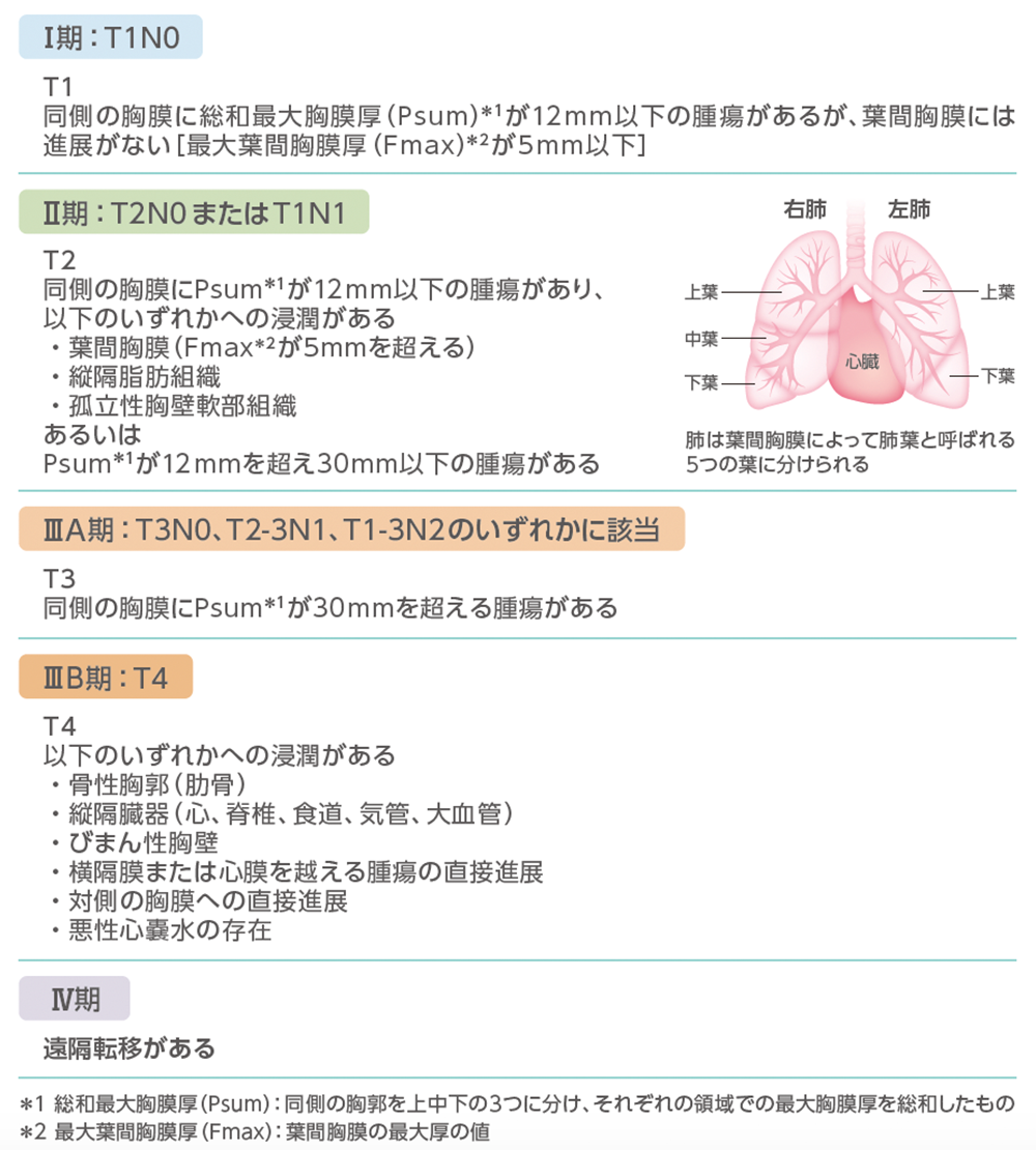 肺葉の構造のイメージ