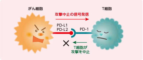 【がんによる免疫機能の悪用】