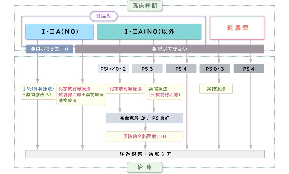 限局型：I・IIA→手術できる※1　I・IIA以外→手術ができない（化学放射線療法・放射線治療＋薬物療法・薬物療法・緩和ケア） 進展型：薬物療法・緩和ケア